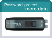 DataTraveler 300