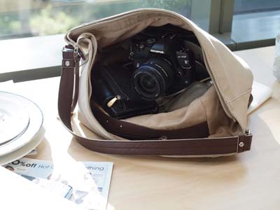 e450bag_small.jpg