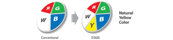 5 Segement Color Wheel