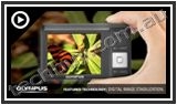 Digital Image Stabilization Plus Video