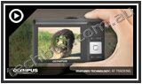 AF Tracking Video