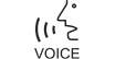 Voice Guidance