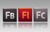 The comprehensive reach of the Flash platform
