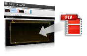 Interactive design with Flash Professional or new Flash Catalyst