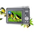 Digital Image Stabilisation (DIS)