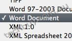 PDF to Word