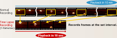 Time Lapse Recording