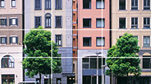 Composition Guide Lines