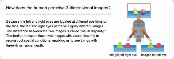 How does the human perceive 3-dimensional images?