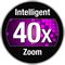 40x