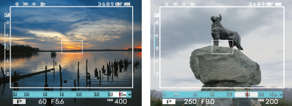 (Left) Dark Scene (Right) Bright Scene