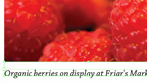 Live captions