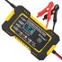 Microtech Battery Charger with Pulse Repair Lead acid type 12V 6A Yellow